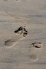 Beach: foot prints in the sand