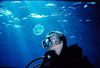 Belize Agressor Suzanne with Jellyfish